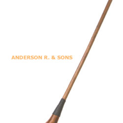 ANDERSON_SON1_copie.jpg