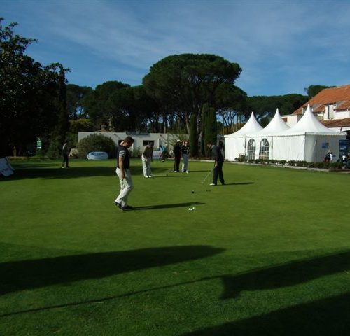 P3130046.jpg
