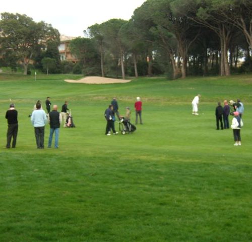 P3150006.jpg