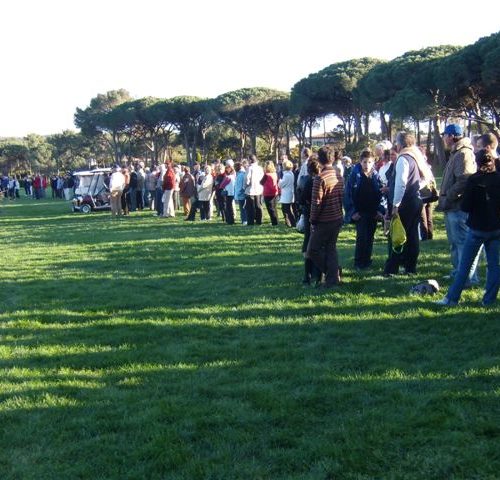 P3160032.jpg